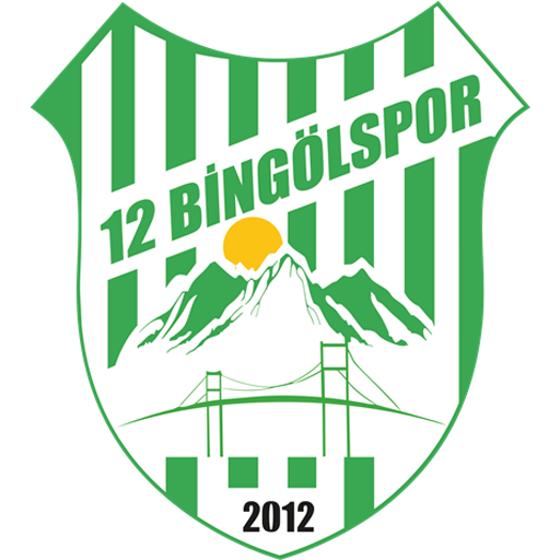 12 Bingölspor