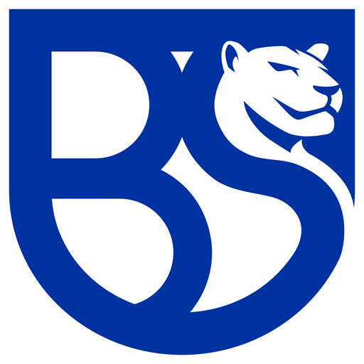 Union Brescia