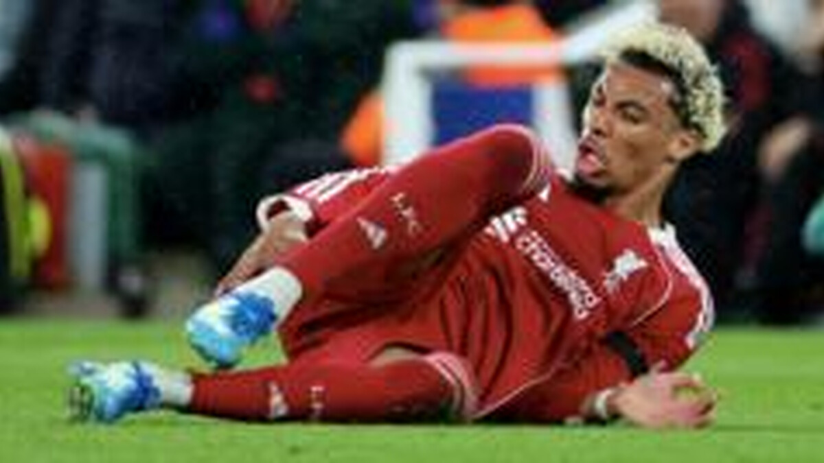 Ekitike to miss rest of season and World Cup with ruptured Achilles