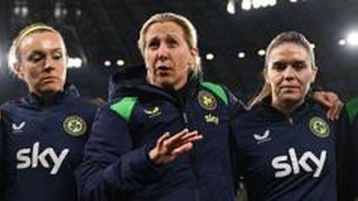 Irish deserve praise for victory in Poland - Ward