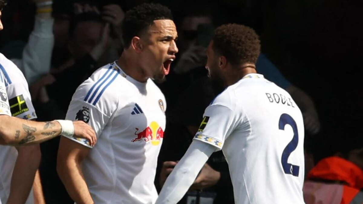 Leeds take huge step towards PL survival with win to leave Wolves on brink