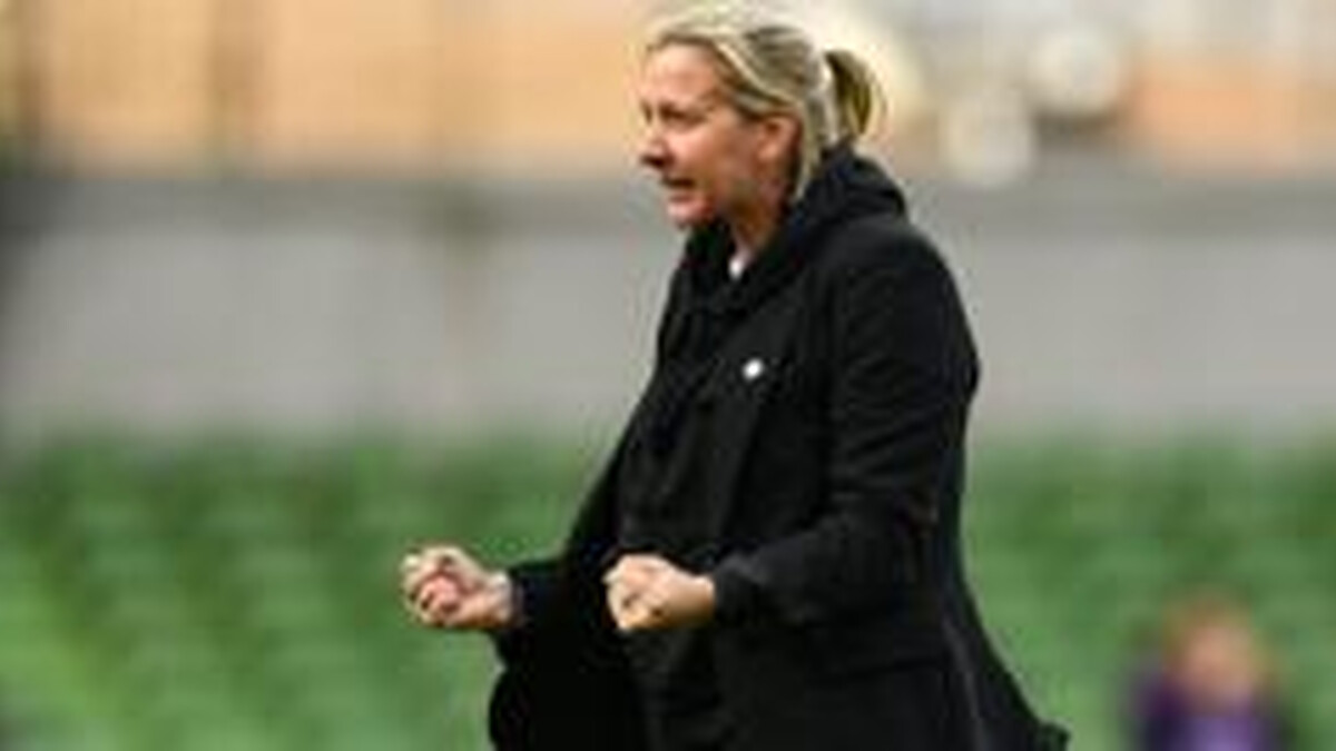 'Proper Irish performance' - Ward on Poland win