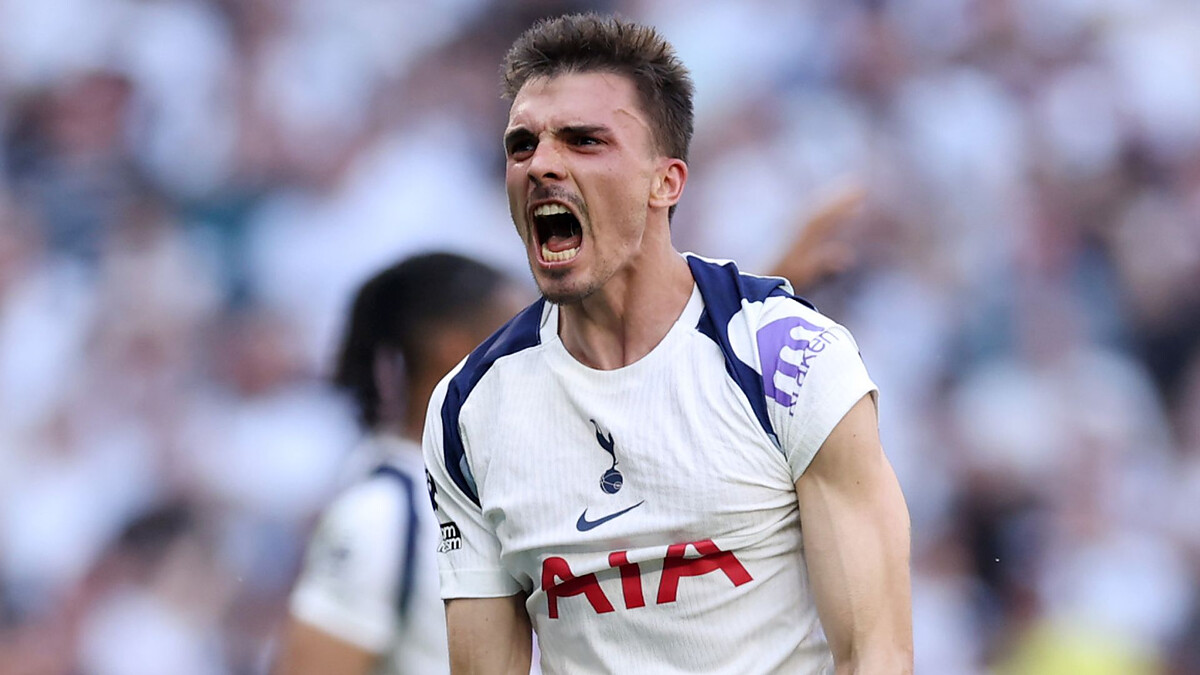 Spurs secure Premier League survival by beating toothless Everton