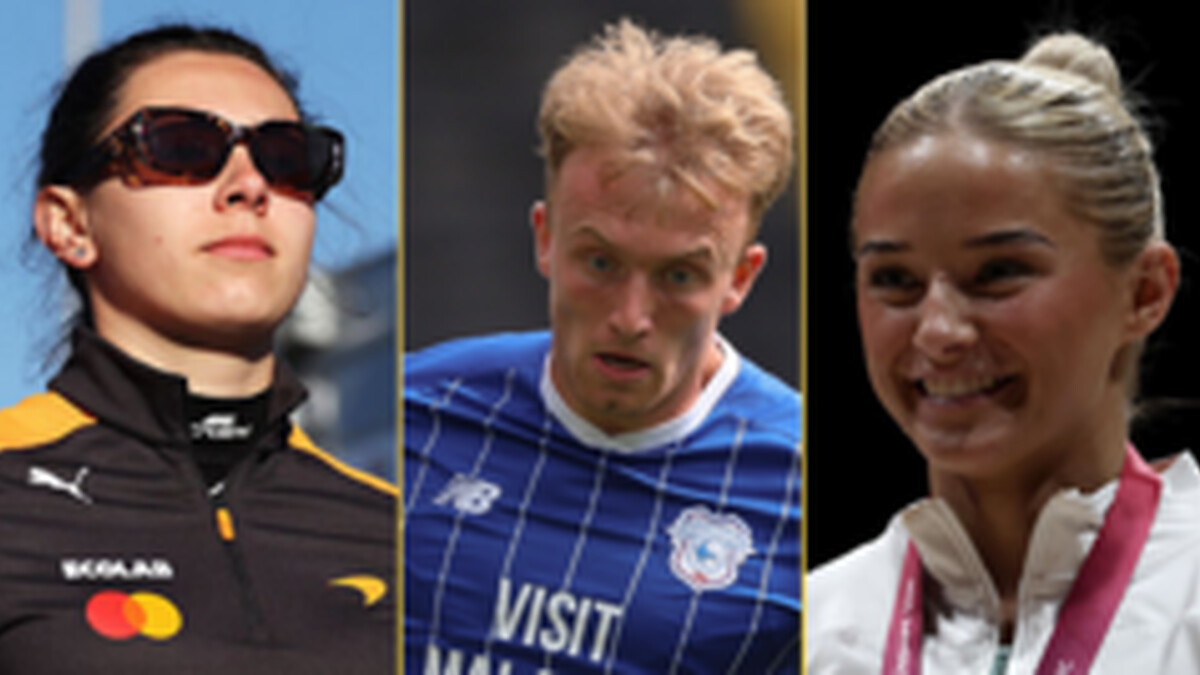 Beyond the comments: How athletes navigate social media