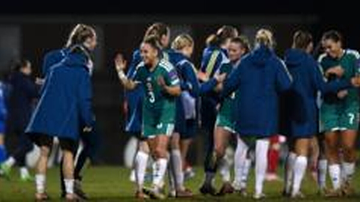 Fresh faces to managerial mayhem - NI's qualifying campaign