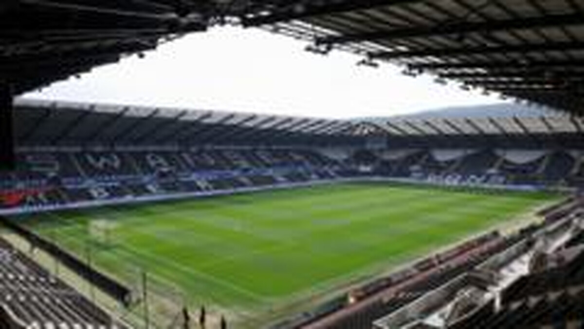 Swansea appoint Palace's Stevens sporting director