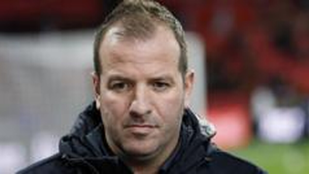 Van der Vaart criticised for 'racist slurs' against Japan