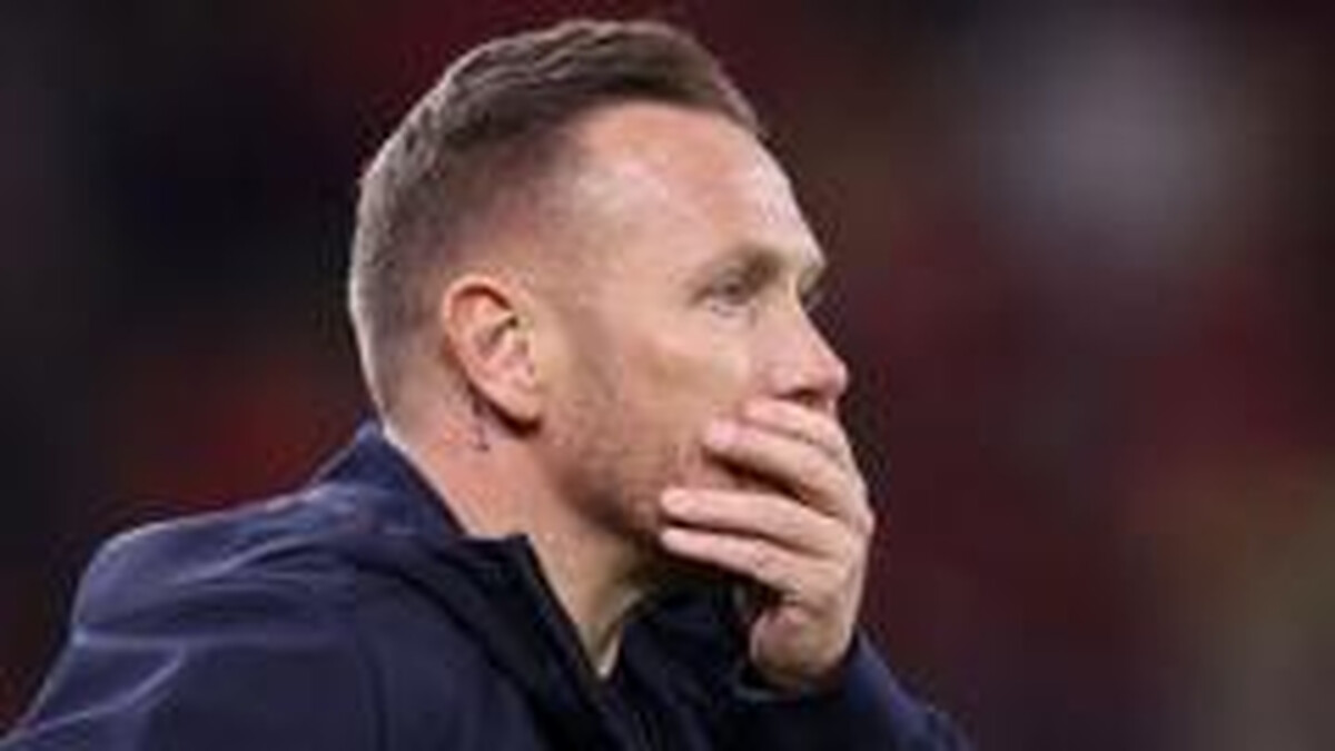 Wales boss Bellamy has 'burned bridges' - Roberts