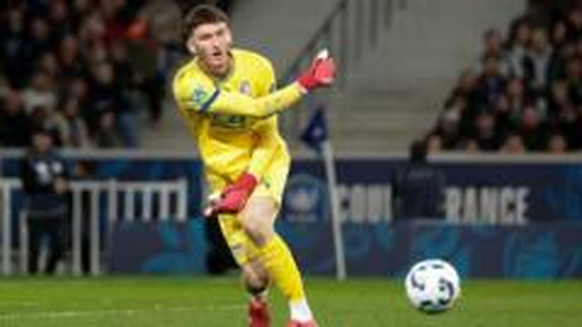 Why Newcastle are signing a 'giant' from French second tier