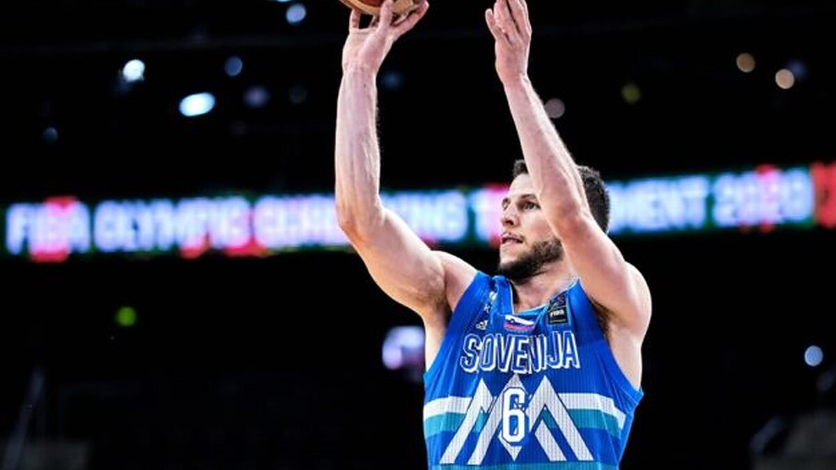 Aleksej Nikolic moves to Galatasaray