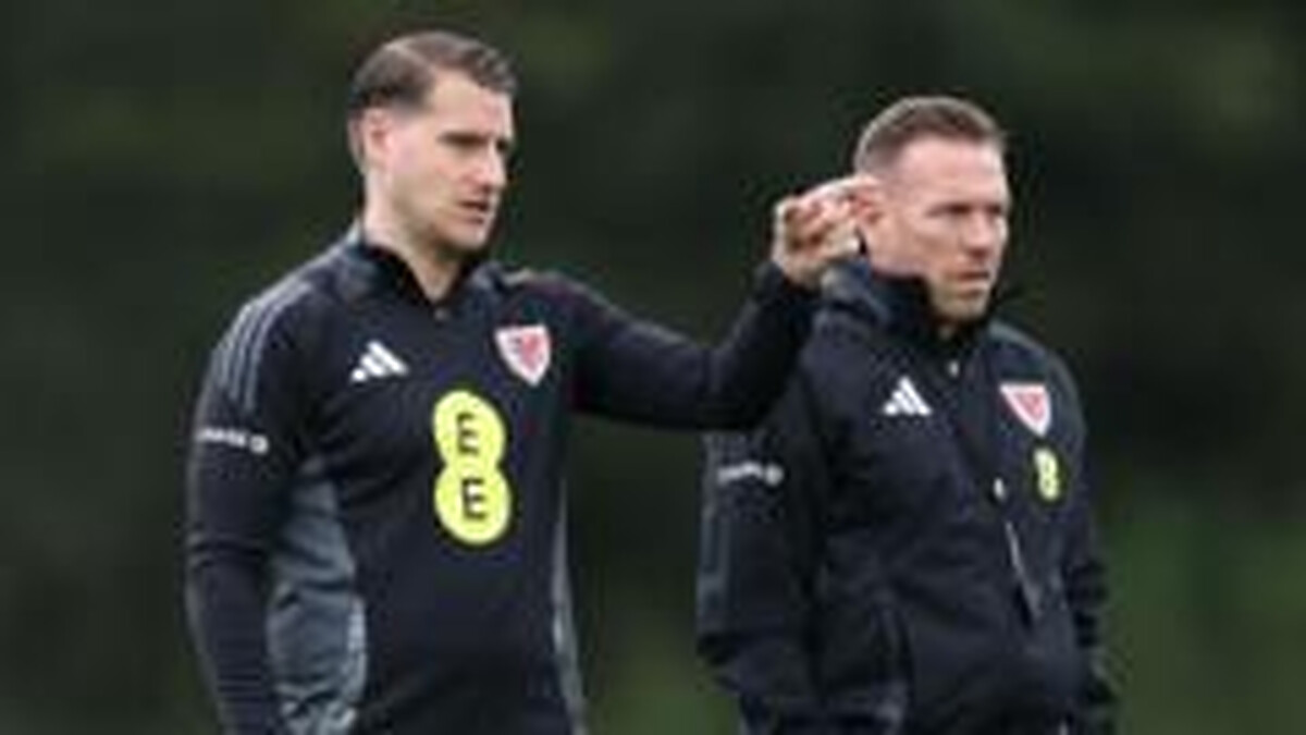 Cremers leaves Wales role as key Bellamy assistant