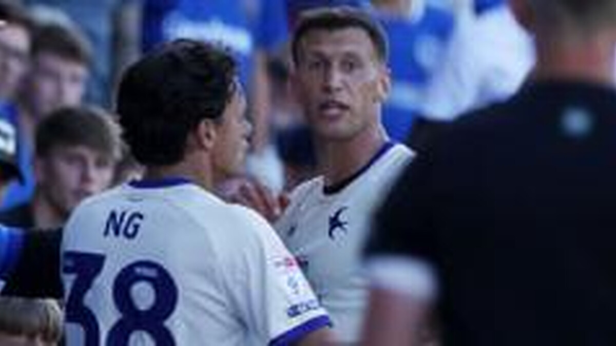 FA charges Cardiff's Bielik as police end inquiry