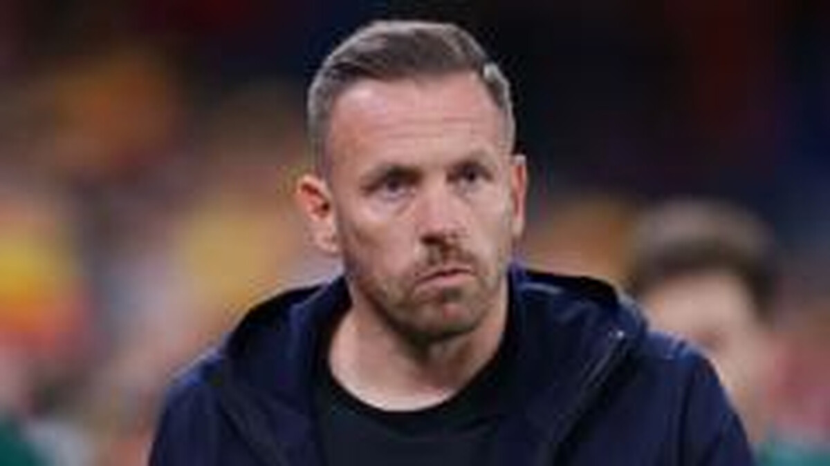 Serious business resumes for Wales boss Bellamy